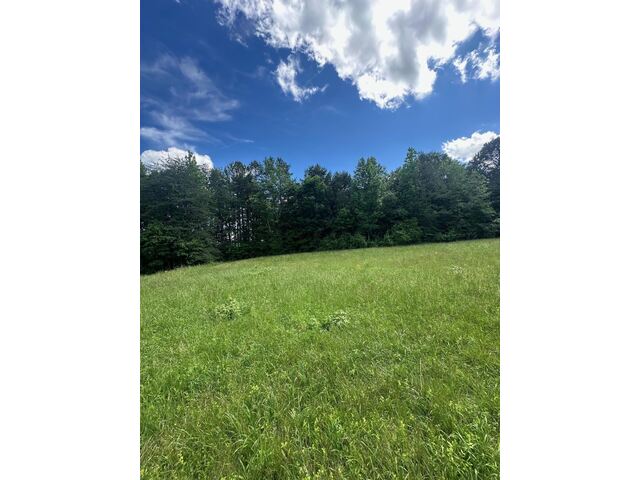Photo of 301 Sweet Gum Road