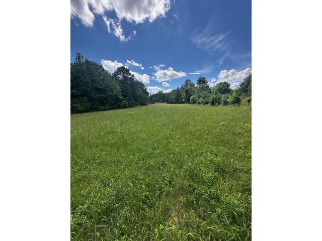 Photo of 301 Sweet Gum Road