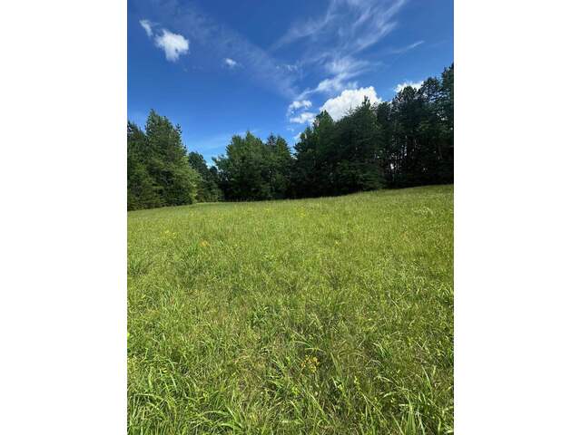 Photo of 301 Sweet Gum Road