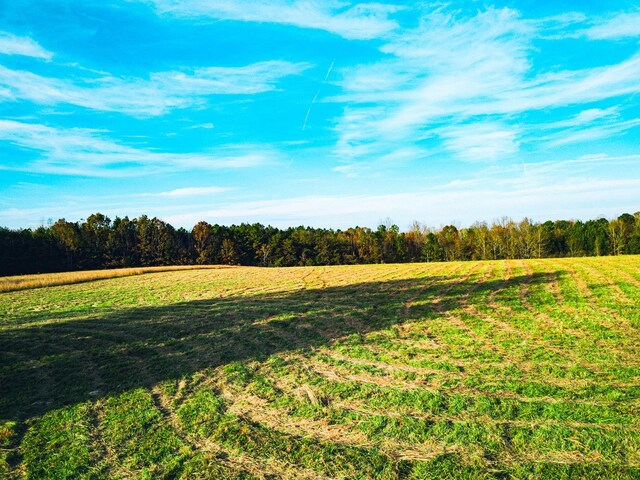 Photo of 377 McKowns Mountain Road