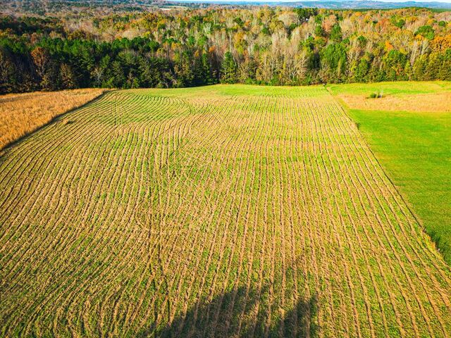 Photo of 377 McKowns Mountain Road