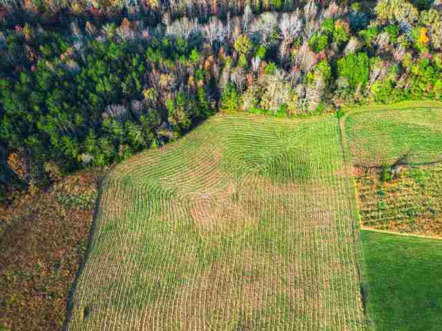 Photo of 377 McKowns Mountain Road